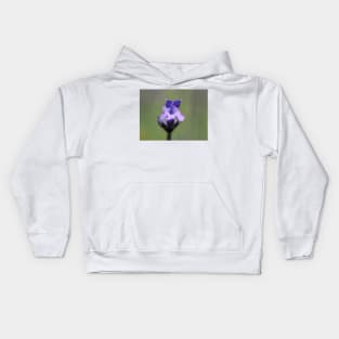 Lavender flower close-up Kids Hoodie